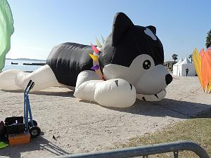 2024 11 02 EN FLANANT SUR SANARY (29)